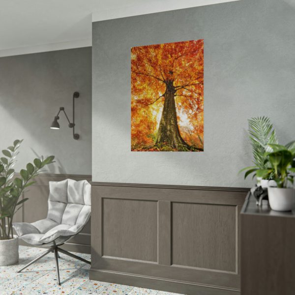 92411-339.jpg Beech With Autumn Leaves Poster