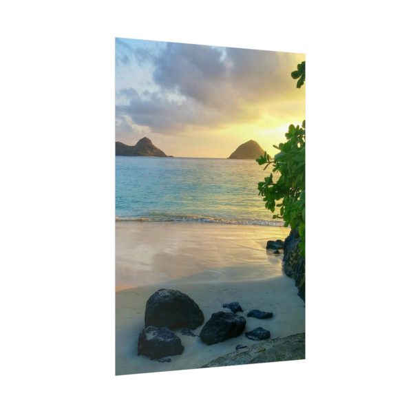 Island Paradise Hawaii Tropical Poster