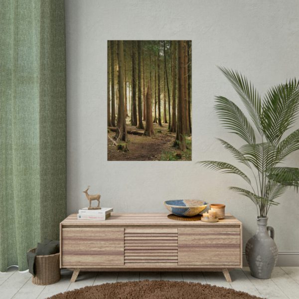 92411-428.jpg Trees in Forest Poster