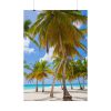 92411-436.jpg Palm Trees On The Beach Poster