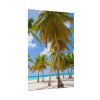 92411-437.jpg Palm Trees On The Beach Poster