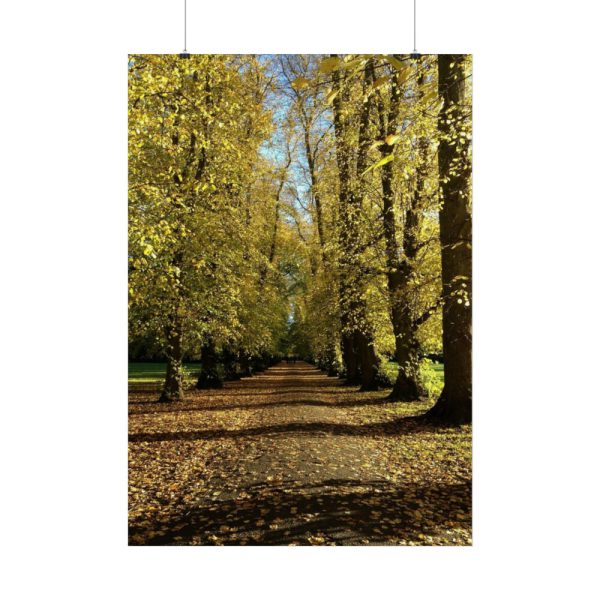 92411-461.jpg Yellow Fallen Leaves From Trees Poster