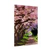 Blossoms Cherry Poster