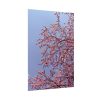Pink Tree Blossom Poster