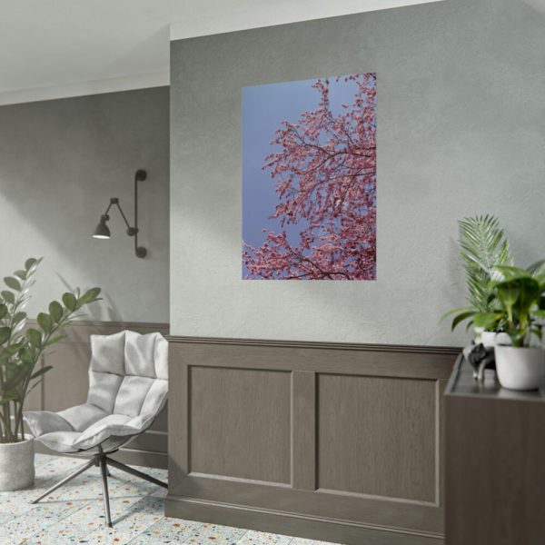 Pink Tree Blossom Poster