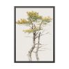 93830-112.jpg Study of Deciduous Tree by Friedrich von Scheidlin Framed Poster