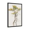 93830-113.jpg Study of Deciduous Tree by Friedrich von Scheidlin Framed Poster