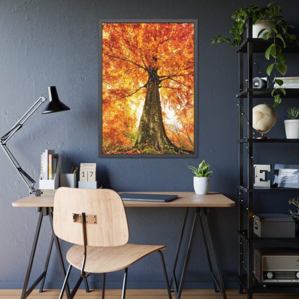93830-282.jpg Beech With Autumn Leaves Framed Poster