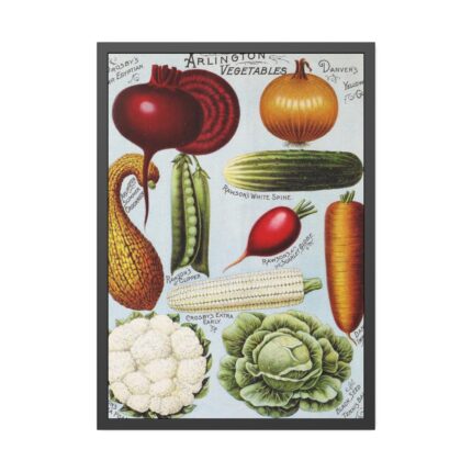 Rawson's Vegetable and Flower Seeds Framed Poster