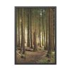 93830-344.jpg Trees in Forest Framed Poster