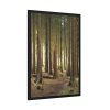 93830-345.jpg Trees in Forest Framed Poster