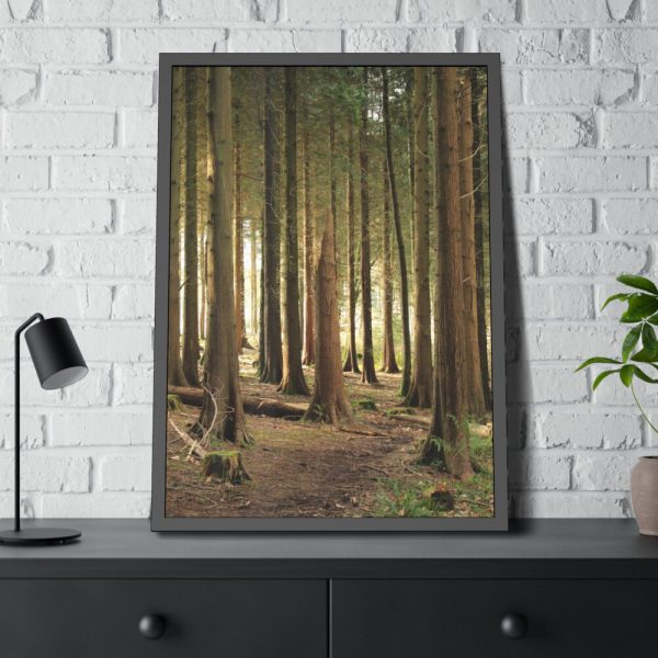 93830-347.jpg Trees in Forest Framed Poster