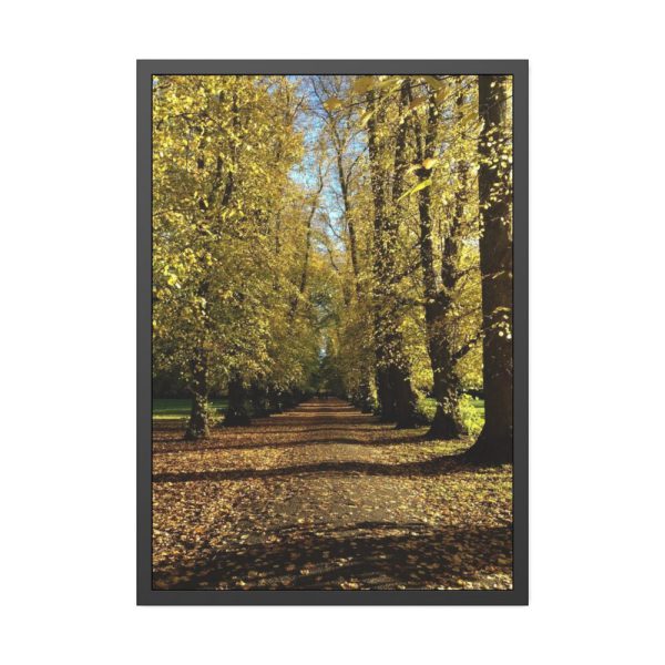 93830-364.jpg Yellow Fallen Leaves From Trees Framed Canvas
