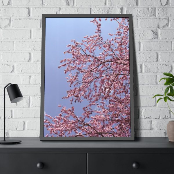 Pink Tree Blossom Framed Poster