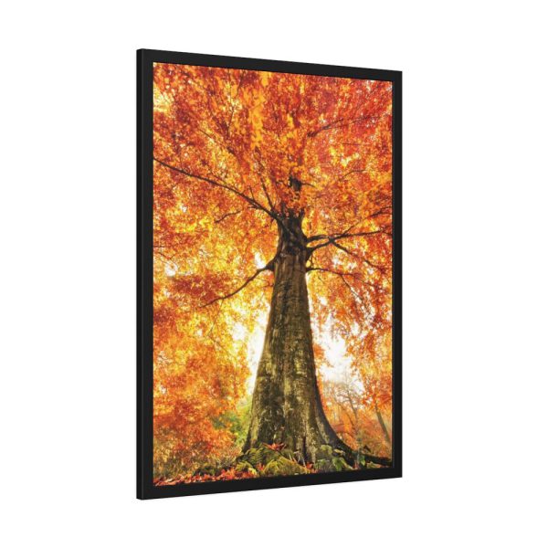 93831-281.jpg Beech With Autumn Leaves Framed Poster