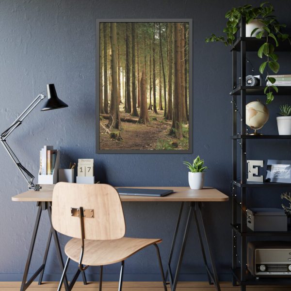 93831-346.jpg Trees in Forest Framed Poster