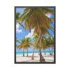 93831-348.jpg Palm Trees On The Beach Framed Poster