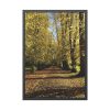 93831-364.jpg Yellow Fallen Leaves From Trees Framed Canvas