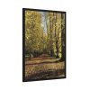 93831-365.jpg Yellow Fallen Leaves From Trees Framed Canvas