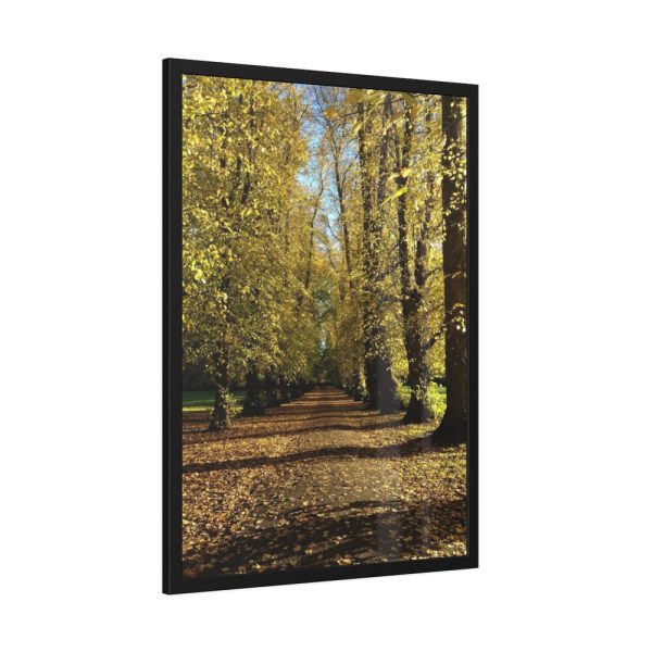 93831-365.jpg Yellow Fallen Leaves From Trees Framed Canvas