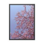 Pink Tree Blossom Framed Poster - Image 5