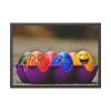 Funny Colorful Framed Poster