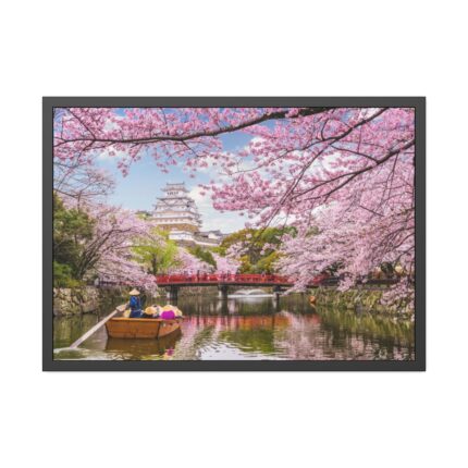 Cherry Blossom in Japan Framed Poster