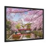93854-269.jpg Cherry Blossom in Japan Framed Poster