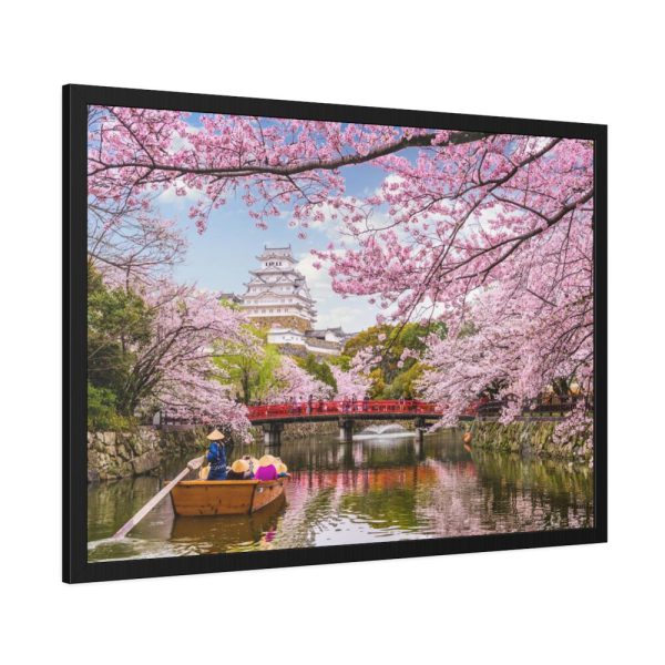 93854-269.jpg Cherry Blossom in Japan Framed Poster