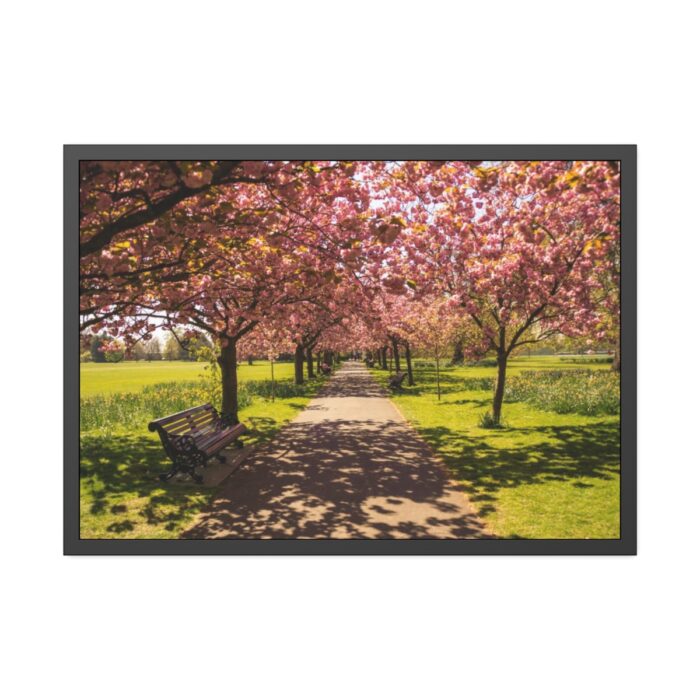 Park with Pink Blossom Trees Framed Poster - Image 1