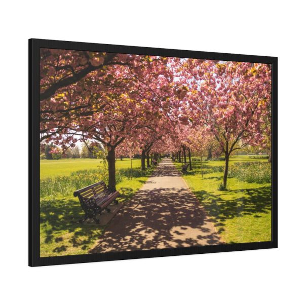 93854-277.jpg Park with Pink Blossom Trees Framed Poster