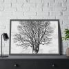 Vintage Tree Framed Poster