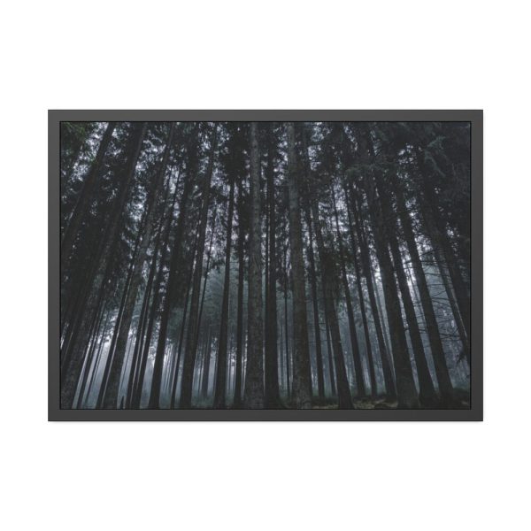 93854-352.jpg Cold Forests Trees Framed Poster