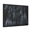 93854-353.jpg Cold Forests Trees Framed Poster