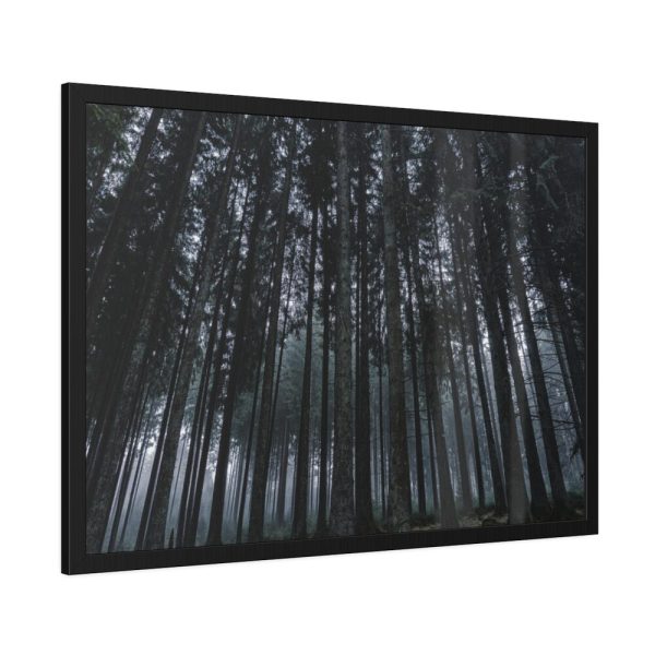 93854-353.jpg Cold Forests Trees Framed Poster