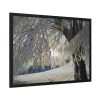 93854-357.jpg Tree Hoarfrost Framed Poster