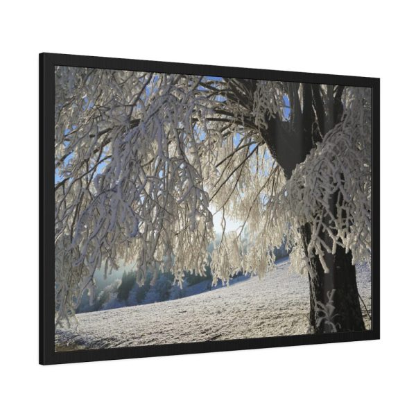 93854-357.jpg Tree Hoarfrost Framed Poster