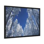 Snow Ponderosa Pines Trees Framed Poster - Image 2