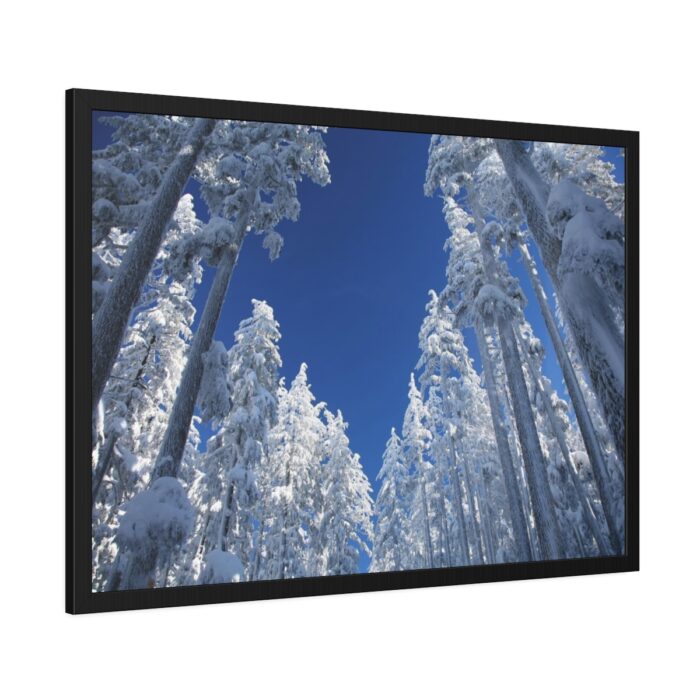 Snow Ponderosa Pines Trees Framed Poster - Image 2