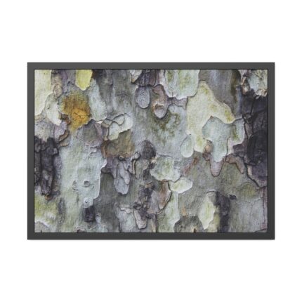 Tree Bark Texture Framed Poster