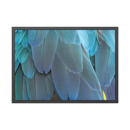 Parrot Feathers Texture Framed Poster