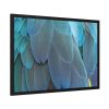 Parrot Feathers Texture Framed Poster