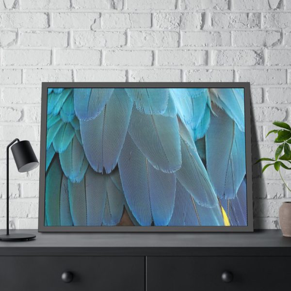 Parrot Feathers Texture Framed Poster