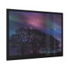 93854-569.jpg Tree Forest Starry Aurora Framed Poster