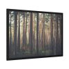 93854-641.jpg Thicket Pine Trees Framed Poster