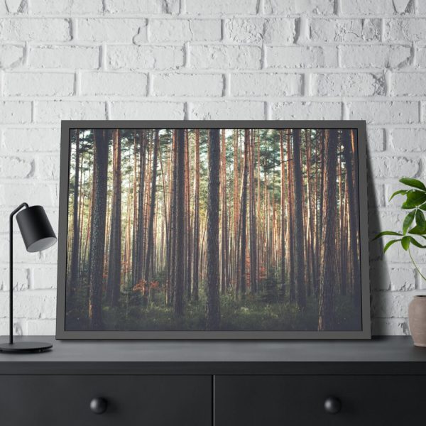 93854-643.jpg Thicket Pine Trees Framed Poster