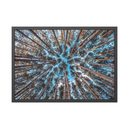 Trees Upward Framed Poster