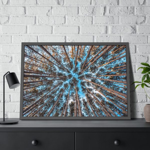 93854-667.jpg Trees Upward Framed Poster