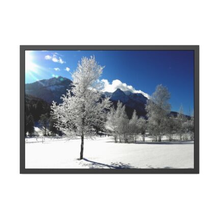 Blue Sky Cold Daylight Fosty Trees Framed Poster