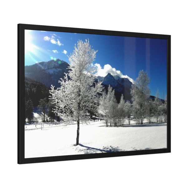 93854-693.jpg Blue Sky Cold Daylight Fosty Trees Framed Poster